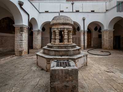 ...ma soprattutto il primo dei due alberi oggetto di devozione popolare: si tratta di un arancio selvatico protetto da una struttura ottagonale a tempietto costruita nel Settecento